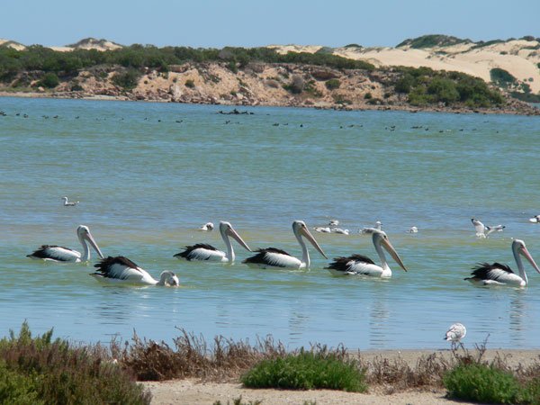 Coorong National Park