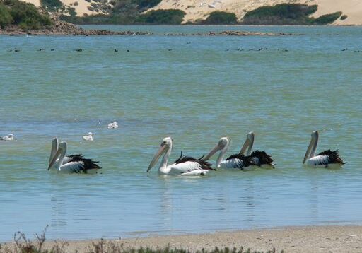 Coorong National Park