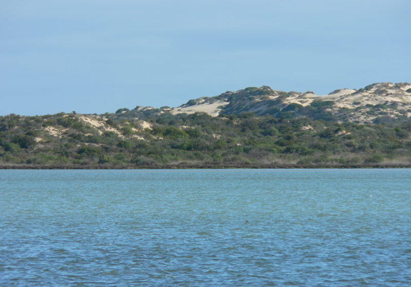 Coorong National Park