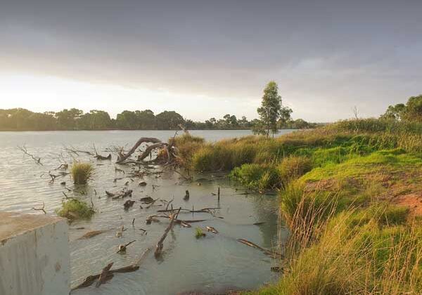 River Murray, Coorong Environmental Trust